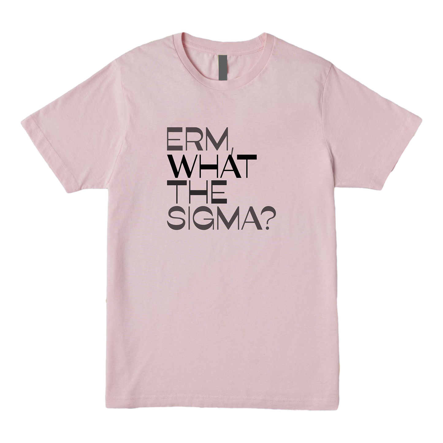 Erm What The Sigma Tee - Question Everything