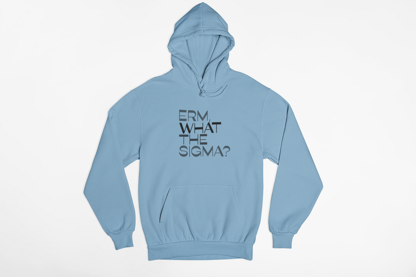 Erm, What the Sigma Hoodie