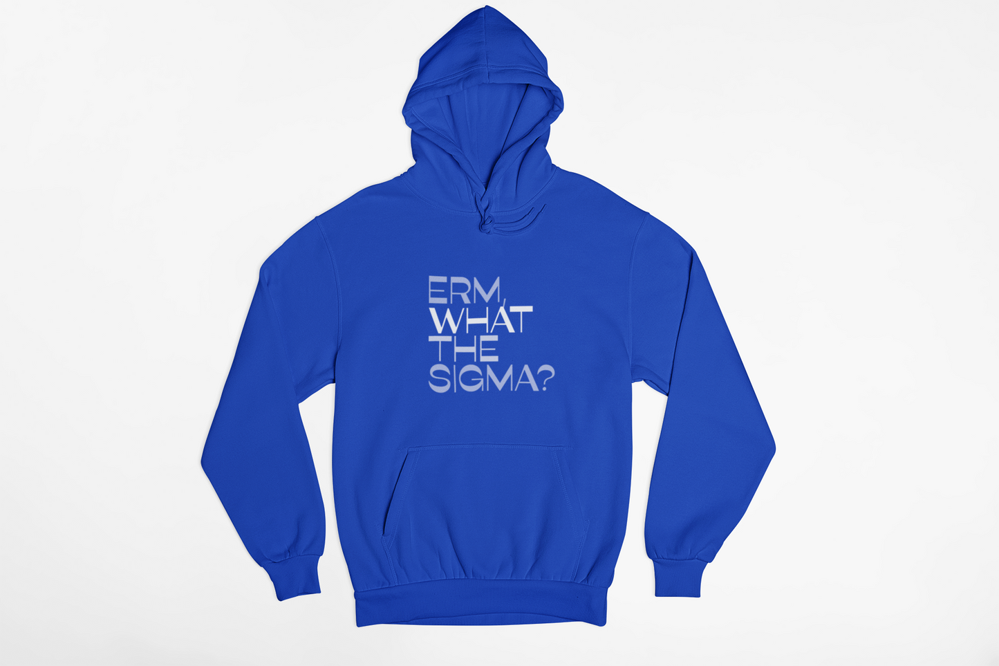 Erm, What the Sigma Hoodie