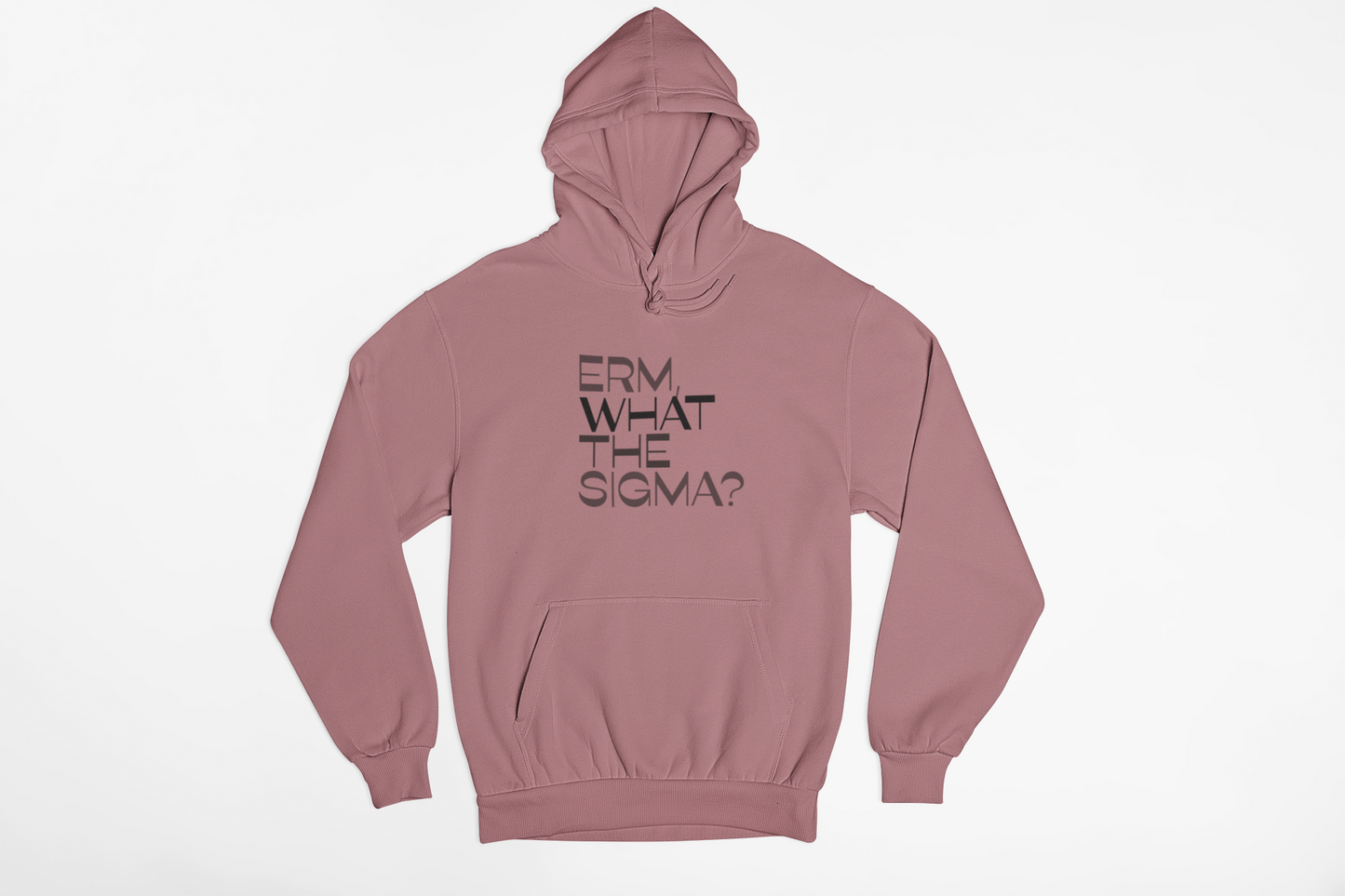 Erm, What the Sigma Hoodie