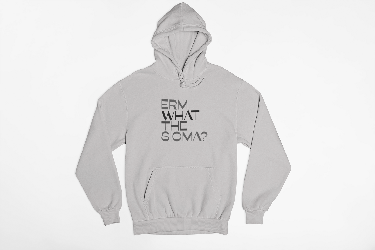 Erm, What the Sigma Hoodie