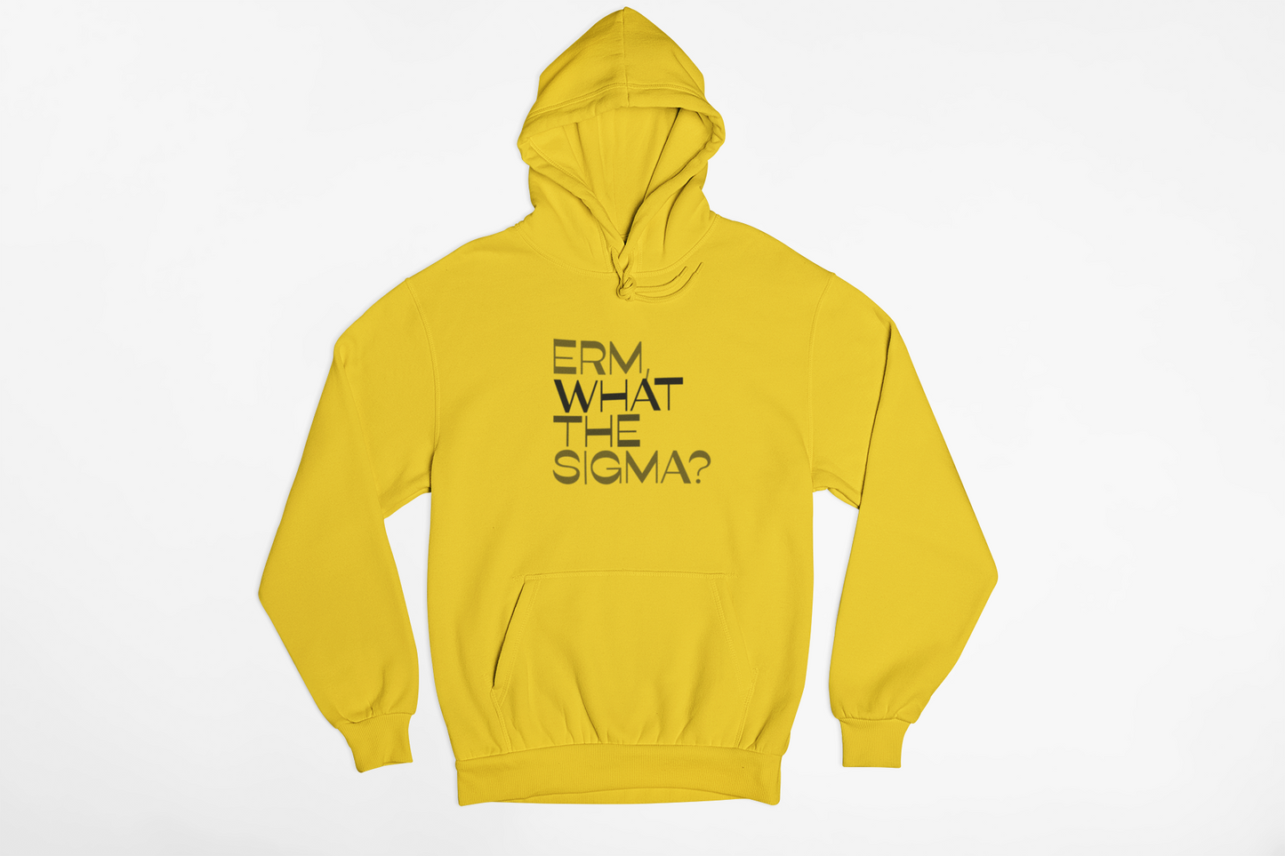 Erm, What the Sigma Hoodie