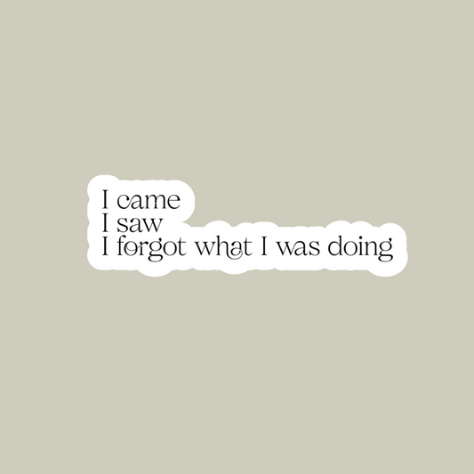 I Came, I Saw, I Forgot What I Was Doing Sticker
